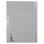 LEITZ Blanco Tabbladen A4+ Grijs 20 tabs Karton 3 Gaten 60960085
