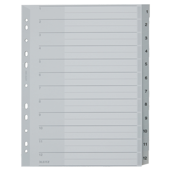 LEITZ Tabbladen 1282 A4+ Grijs 12 tabs Geperforeerd Polypropyleen 1 tot 12 (12820000)