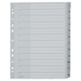 LEITZ Tabbladen 1282 A4+ Grijs 12 tabs Geperforeerd Polypropyleen 1 tot 12