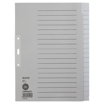 LEITZ Blanco Tabbladen A4+ Grijs 20 tabs Karton 3 Gaten 1220 (12200085)
