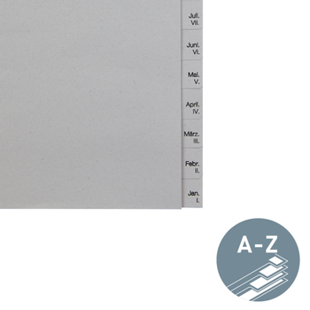 LEITZ Dec - Jan Maand-tabbladen Gerecycled A5 Grijs 12 tabs 100 g/m² Karton 3 Gaten 1230 (12300085)