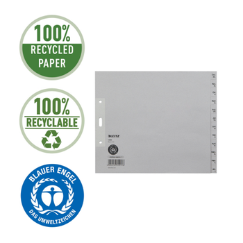 LEITZ Dec - Jan Maand-tabbladen Gerecycled A5 Grijs 12 tabs 100 g/m² Karton 3 Gaten 1230 (12300085)