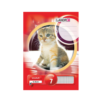 Landré A5 80 g/m² 16 vellen geruit 7mm (100050073)