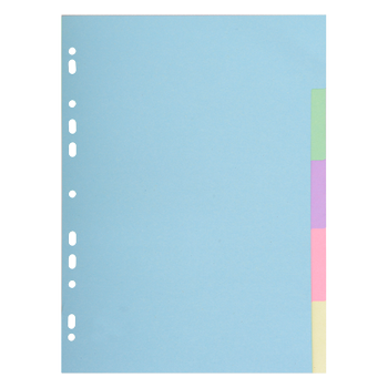 EXACOMPTA Blanco Blanco tabbladen 100% Gerecycled A4 Kleurenassortiment 5 tabs Karton 11 Gaten 1605E (1605E)