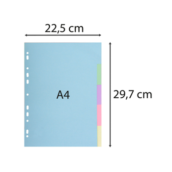 EXACOMPTA Blanco Blanco tabbladen 100% Gerecycled A4 Kleurenassortiment 5 tabs Karton 11 Gaten 1605E (1605E)