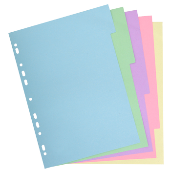 EXACOMPTA Blanco Blanco tabbladen 100% Gerecycled A4 Kleurenassortiment 5 tabs Karton 11 Gaten 1605E (1605E)