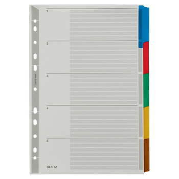 LEITZ Blanco Tabbladen A4+ Grijs Kleurenassortiment 5 tabs Karton 11 Gaten 4320 (43200000)