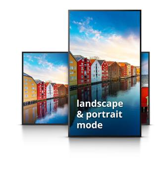 VIVITEK "75"" infonäyttö,  NovoDS Digital Signage" - NovoConnect langaton esitysjärjestelmä (DK753)