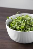 Kähler Hammershøi skål Ø17cm hvit