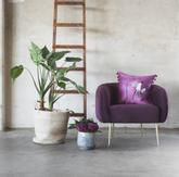 Mummi Putetrekk Mummipappa 50x50cm, Aubergine (479-109351)