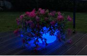 Trend light Vinkjøler/ blomsterpotte LED-lys Oppladbar (422-W-CF12D)
