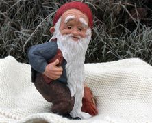 Midthun Nisse 2019 stående