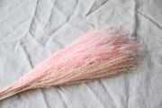 COOEE Strå Feather Pampas_Faded Pink (389-DF-01-01-FP)