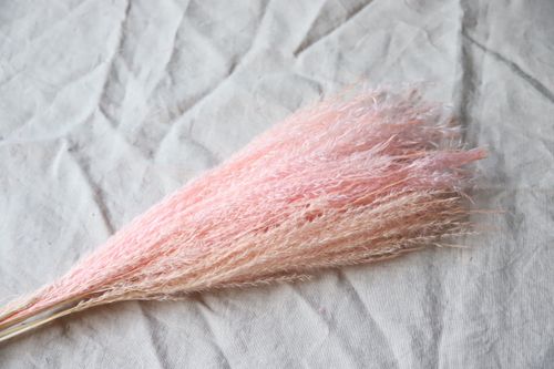 COOEE Strå Feather Pampas_Faded Pink (389-DF-01-01-FP)