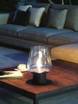 Tenderflame Glasslampe Amaryllis 25cm MgO Sort (513-0430003)