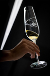 Jan Thomas Amore Champagneglass m/ sten 1stk (404-202451)