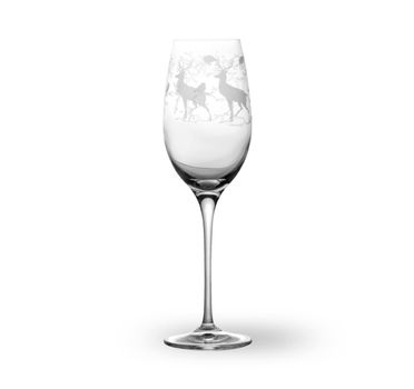 Wik & Walsøe Alveskog Champagne Glass 30cl (500-11202)