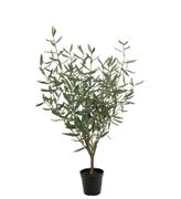 Mr Plant Kunstig Plante Oliven H100cm