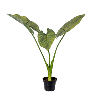 Mr Plant Kunstig Plante Alocasia H50cm (260-3159-90-1)