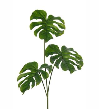 Mr Plant Kunstig Plante Monstera-blad H75cm (260-1542-90)