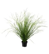 Mr Plant Kunstig Plante Gress H60cm