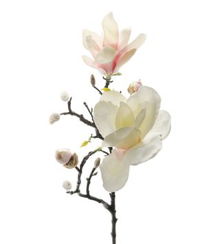 Mr Plant Kunstig gren Magnolia H60cm