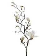 Mr Plant Kunstig Grein Magnolia H135cm