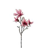 Mr Plant Kunstig gren Magnolia-Rosa H50cm (260-9665-20)