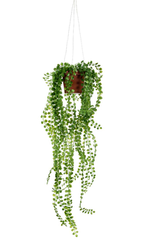 Mr Plant Kunstig plante Pilea H55cm (260-9617-90-3)