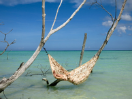 La Siesta Colibri Reisehengekøye Dobbel med oppheng Fallskjermsilke,  camo (132-CLH20-C6)