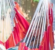 Vivere Hengestol Brasil Mimosa (540-B536)