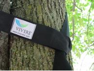 Vivere Opphengssett for hengekøye,  Trevennlig (540-EFHTS)