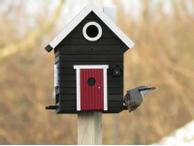 Wildlife Garden Fuglehus og fuglemater,  Sort (641-WG106)