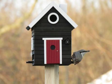 Wildlife Garden Fuglehus og fuglemater,  Sort (641-WG106)