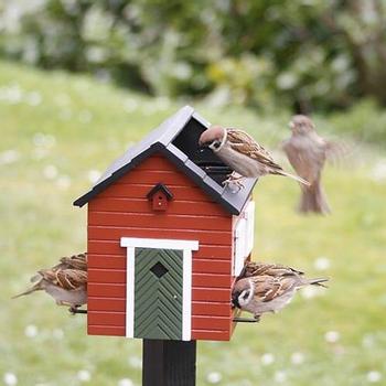 Odds brevpapir Poesi Wildlife Garden Fuglemater og fuglebad, Rød | Multitrend