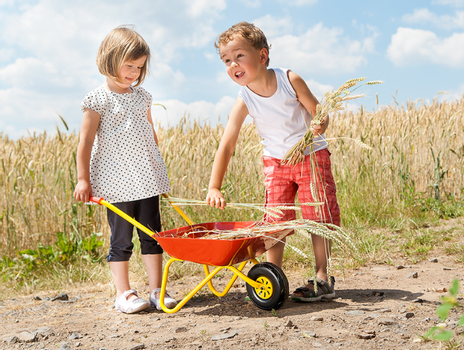 Rolly Toys Trillebår for barn Rød (331-270804)