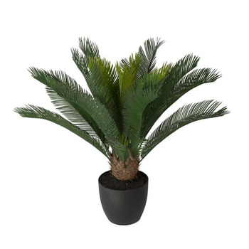 Mr Plant Kunstig Plante Cycas 70cm