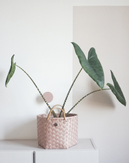 Handed By Kurv Copper-Blush Håndtak H20cm (629-BD0036602)