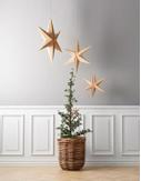 Villa Collection Julestjerne trefinér 65cm  (379-12337)