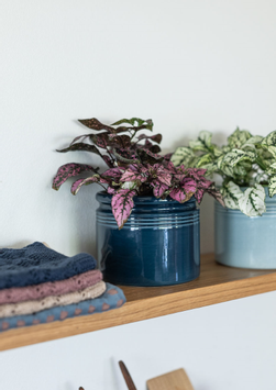 UND Legacy Krukke Ocean (636-15485)