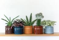 UND Legacy Krukke Ocean (636-15485)