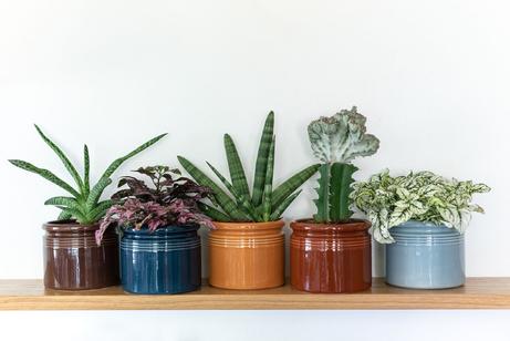 UND Legacy Krukke Ocean (636-15485)