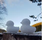Snøform And Klype (654-DUCK)