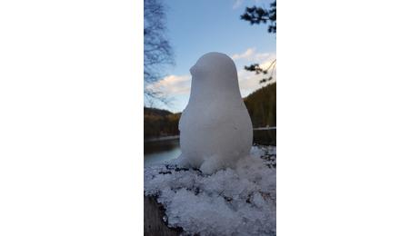 Snøform Pingvin (654-PINGUIN)