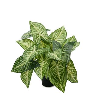 Mr Plant Kunstig Plante Gåsefot (260-1167-90-1)