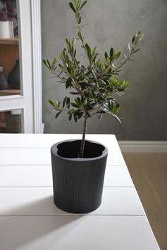 Storefactory Eksberg Potteskjuler Mørk-Grå Ø20xH20