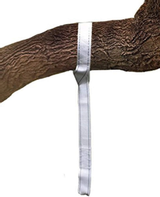 Cacoon  Treoppheng til Cacoon