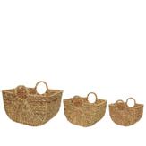 Kaemingk Kurver Vannhyacint 3stk  (487-838089)