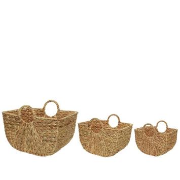 Kaemingk Kurver Vannhyacint 3stk  (487-838089)