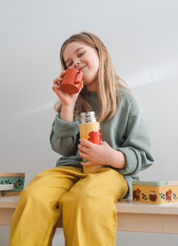 Blafre Termos Skog Brun 350ml (170-1860)